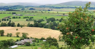 farmland-wide