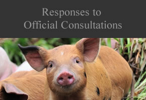 Nourish Scotland's responses to official consultations