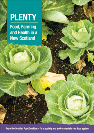 Cover picture of the Scottish Food Coaltion's PLENTY report, picturing a row of ripe cabbages