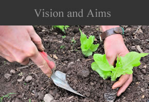 Vision and Aims subheader image featuring planting