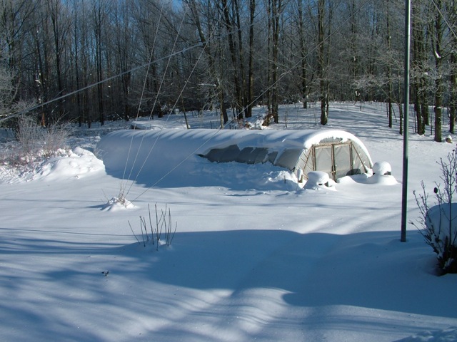 Don's polytunnel surviving the Michigan winter!