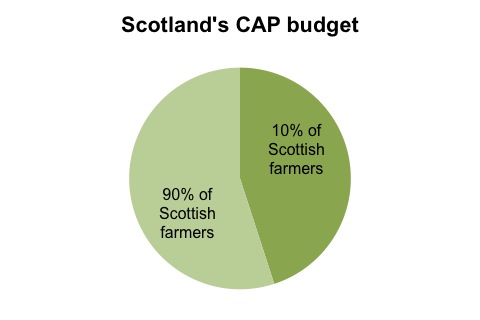 Common Agricultural Policy - what's this all about?