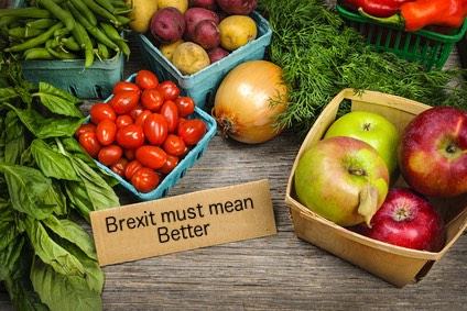 Fruit and veg with label "Brexit must mean better"