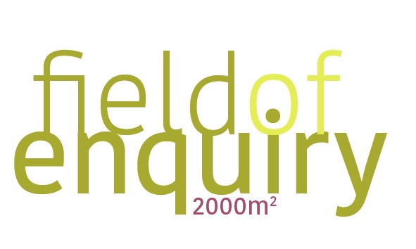 Logo of the Field of Enquiry Workshop series