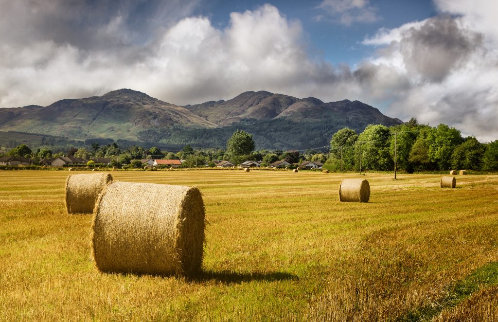 Hay harvest - Flickr CC Neil Williamson